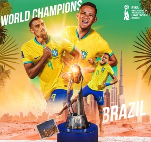 Brazil đã vô địch Giải bóng đá bãi biển thế giới lần thứ sáu trong lịch sử đội tuyển, với Ý đứng thứ hai và Iran thứ ba.