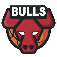 Bulls