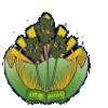 Kandal Province