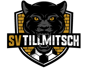 SV Ilz