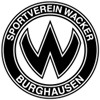 SV Austria Salzburg